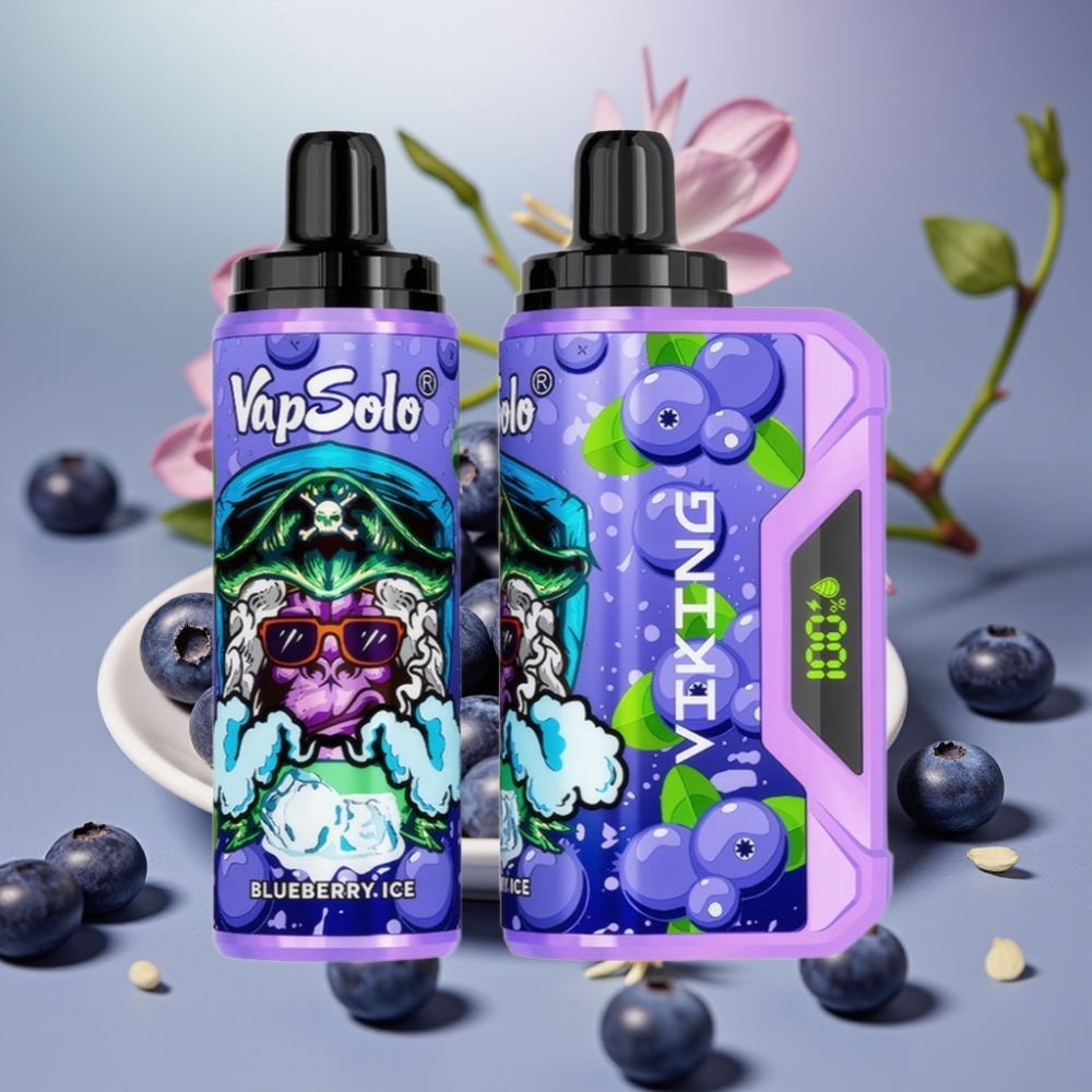 VapSolo VIKING 12000 Puffs Desechable 22ml Arándano Tipo-C